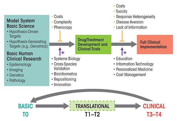 Translational research pipeline. 