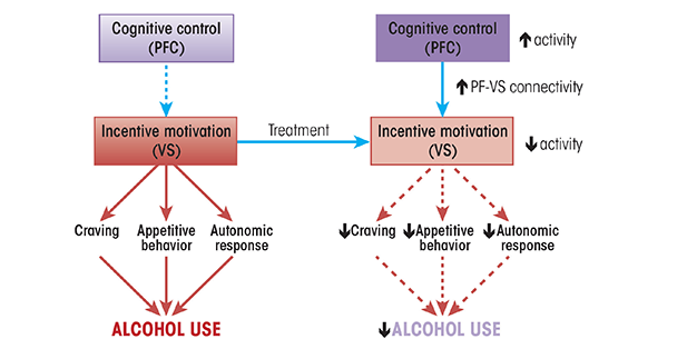 A potential common mechanism for alcohol use disorder (AUD) treatments