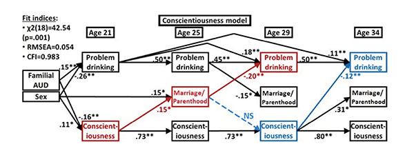 An integrative model of family role and personality effects on young adult maturing out of problem drinking, showing results of a cross-lagged panel model of marriage and parenthood, conscientiousness, and problem drinking across four longitudinal time points. Results of cross-lag models showed some prospective effects of personality on problem drinking, with higher conscientiousness at age 29 predicting lower problem drinking at age 34. Family role transitions mediated personality effects, with higher cons