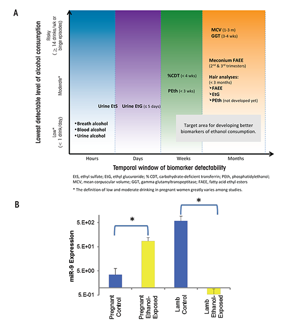 Indirect and direct markers of alcohol exposure