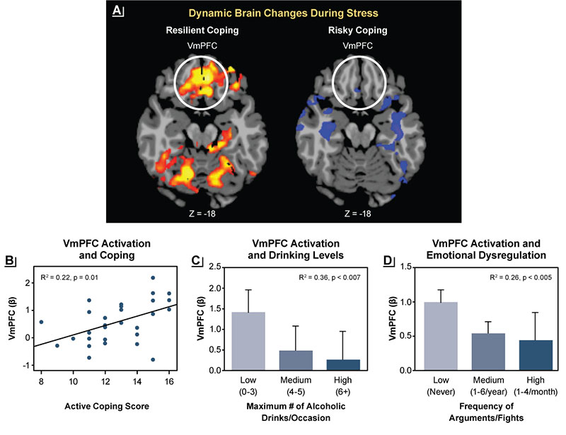 Figure 2 shows two brain scans, one scatter plot graph, and two bar graphs showing the associations between brain stress responses and resilient coping. 