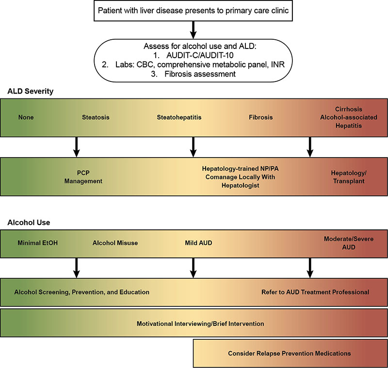 Figure 2 is a flowchart showing the treatment paradigm for patients with AUD and the spectrum of ALD. 