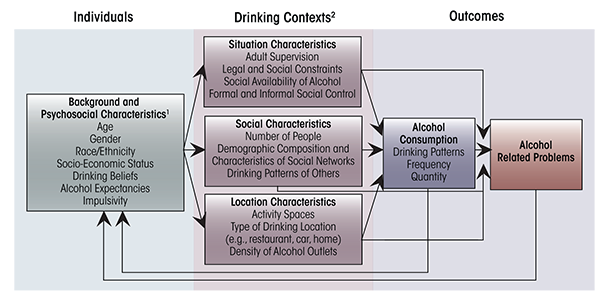 Social–ecological framework of drinking contexts and alcohol-related problems.