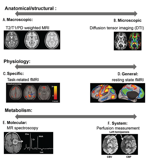 A potential common mechanism for alcohol use disorder (AUD) treatments