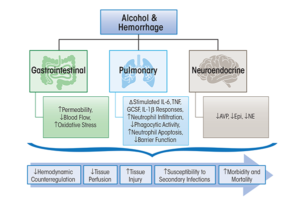 Salient gastrointestinal, pulmonary, and neuroendocrine pathophysiological consequences of alcohol abuse prior to, or at the time of, hemorrhagic shock.