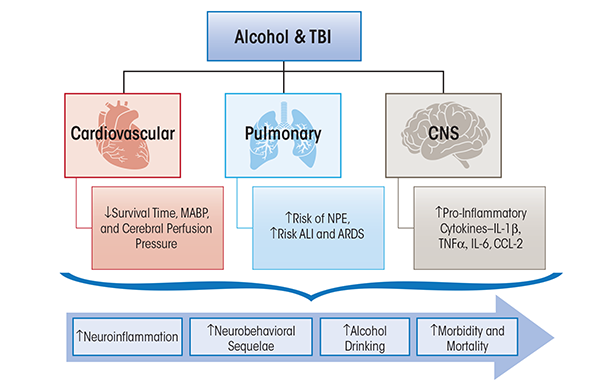 Salient cardiovascular, pulmonary, and central nervous system pathophysiological consequences of alcohol abuse prior to, or at the time of, traumatic brain injury (TBI).