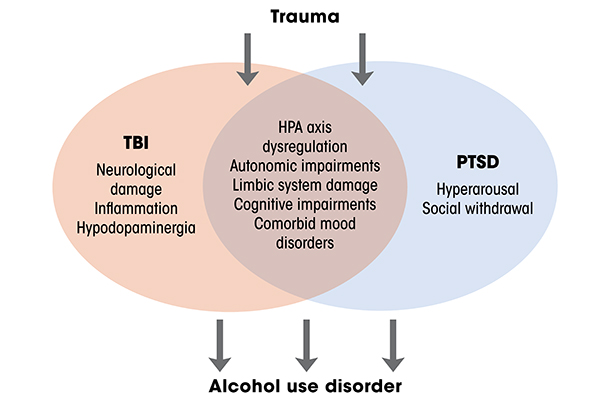 Overlapping neurobehavioral links among TBI, PTSD, and alcohol use disorder. TBI and PTSD share trauma as a precipitating event. They are also linked by dysregulation of stress response systems, cognitive impairments, and affective symptoms, which, together, can increase the likelihood of alcohol misuse. Note: HPA, hypothalamic pituitary adrenal; PTSD, post-traumatic stress disorder; TBI, traumatic brain injury.