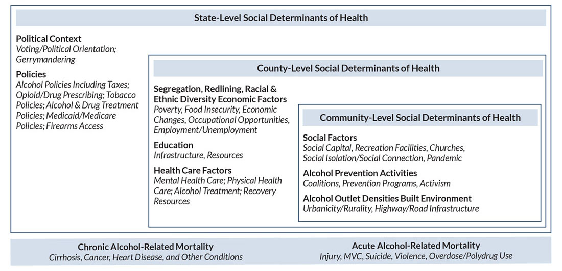 Figure 1 is a chart that identifies key social determinants of chronic and acute alcohol-related morality at the state, county, and community levels.