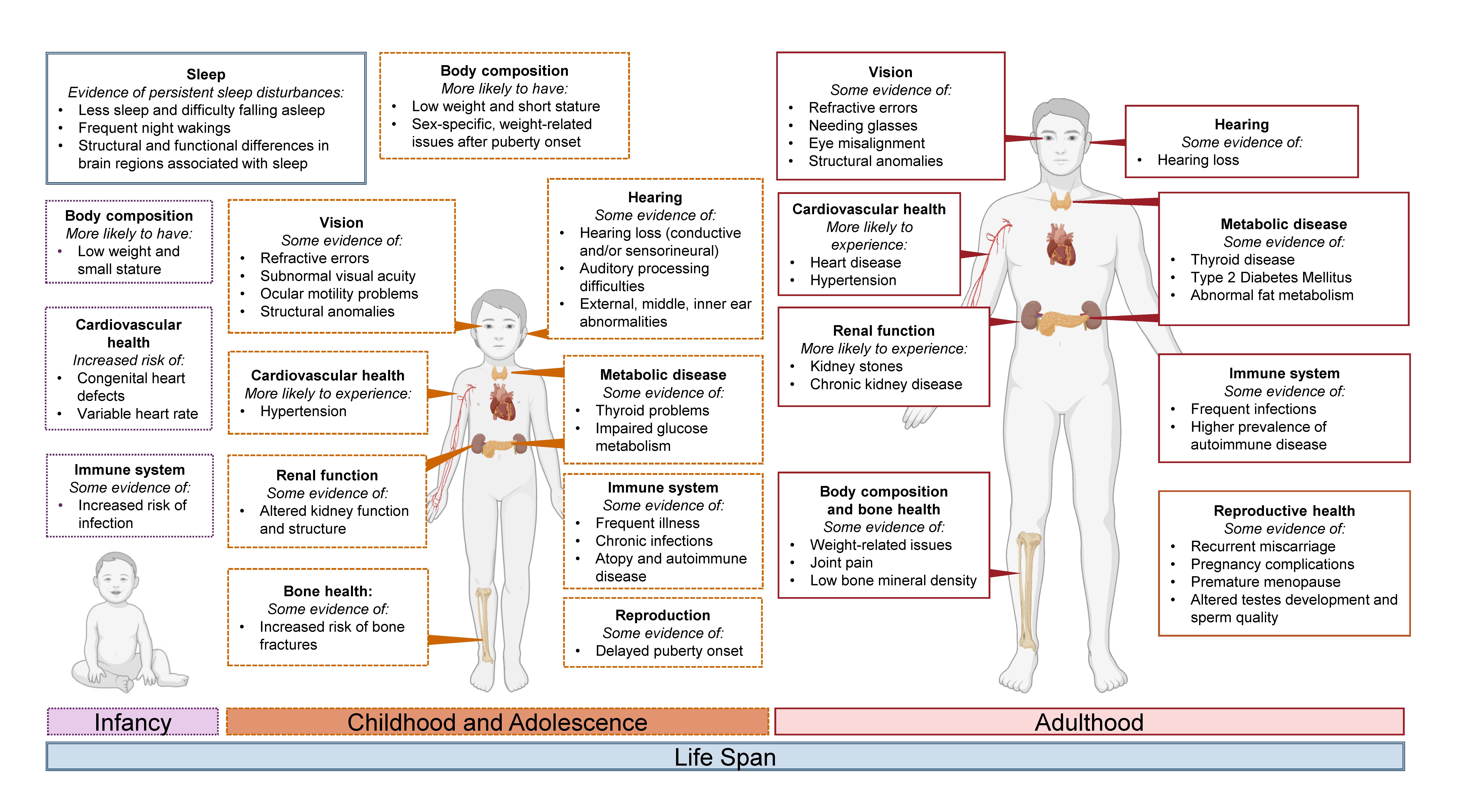 Figure 2 is a model listing potential physical health challenges faced by individuals with PAE/FASD across the life span.