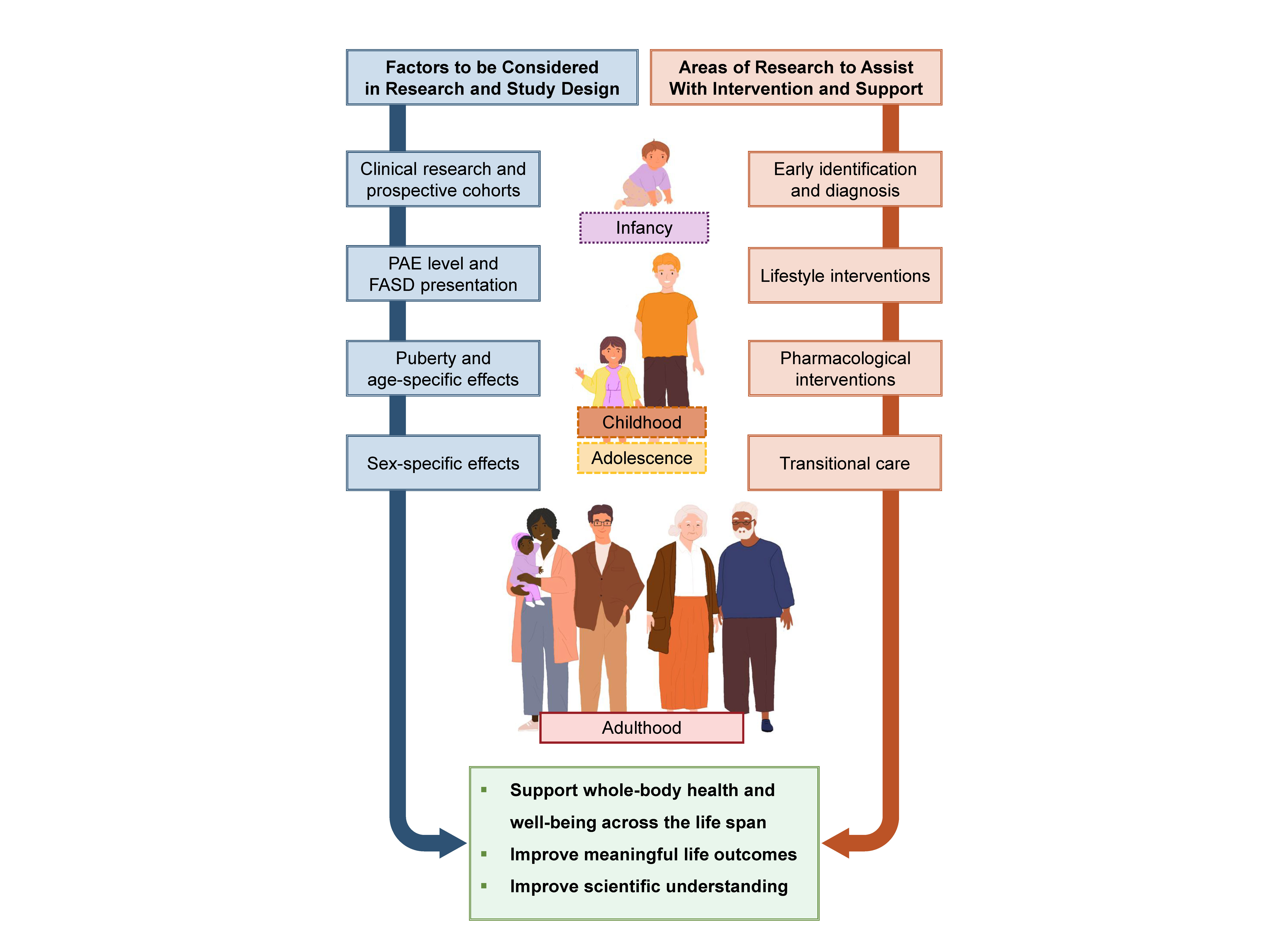 Figure 3 is a flow chart that lists potential future directions to improve scientific understanding and well-being of individuals with PAE/FASD across the life span.