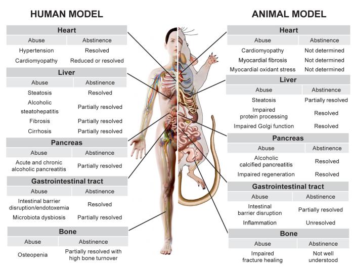 Natural Recovery by the Liver and Other Organs After Chronic