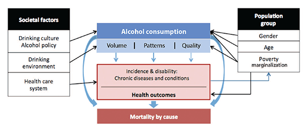 Figure 1 Causal model of alcohol consumption, intermediate mechanisms, and long-term consequences, as well as of the influence of societal and demographic factors on alcohol consumption and alcohol-related harms resulting in chronic diseases and conditions.