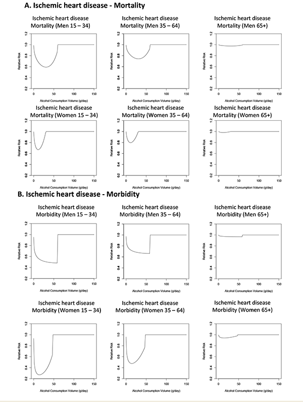 The relationship between increasing amounts of average daily alcohol consumption and the relative risk for ischemic heart disease, with lifetime abstainers serving as the reference group.