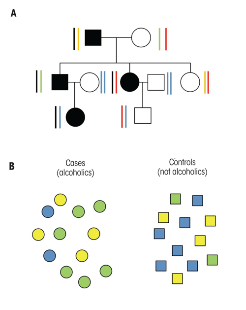 Strategies to identify genes contributing to alcohol dependence