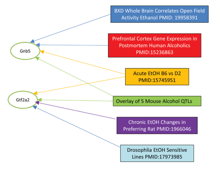 GeneWeaver output graph illustrating this program’s ability to find the connections between six data sets listed to the right in boxes with two interesting candidate genes—GNB5 and GTF2A2 