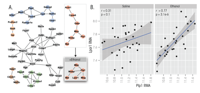 A) Gene networks that are regulated by acute alcohol exposure were identified in the same prefrontal cortex dataset used in Figure 1. Gene networks were generated by applying a hard threshold of 0.75 to the gene correlation matrix.  B) Scatterplots illustrating the correlation between <em>Plp1</em> and <em>Lpar1</em> at baseline and following ethanol treatment.