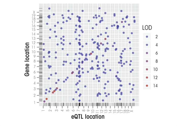 Genome–genome plot of peak expression quantitative trait loci (eQTLs)