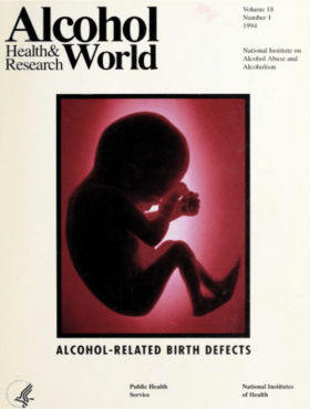 Alcohol Health & Research World cover for Volume 18, Number 1. Alcohol-related birth defects. A representation of a fetus in the womb.